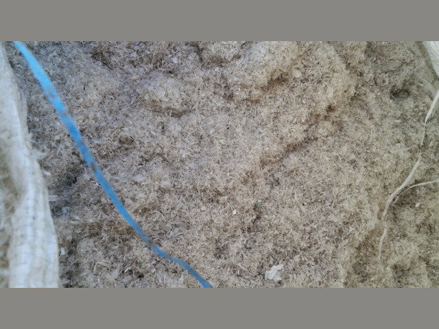 trot-ldpe