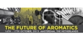 The Future of Aromatics 2013