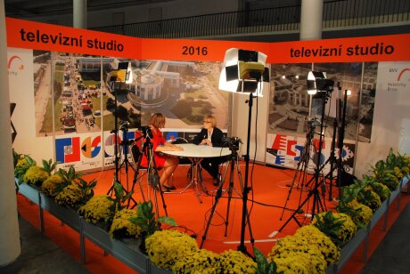MSV 2016