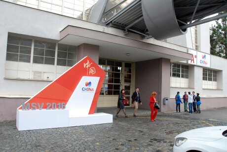 MSV 2016