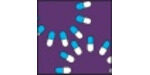 TechnoPharm 2007