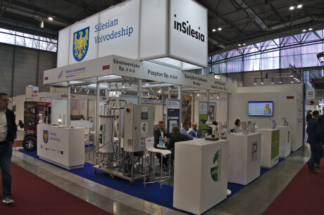 MSV 2021