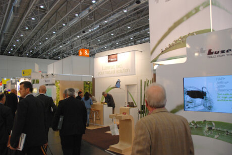 K 2010