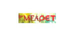 11th MEAPET