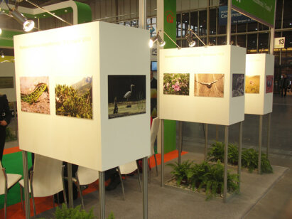Poleko 2010