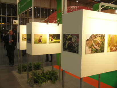 Poleko 2010