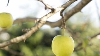 Włoska gospodarka bardzie