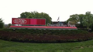 DuPont reports lower sale