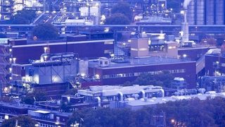 BASF zmniejsza produkcję 