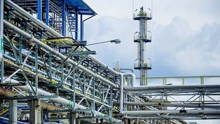 Polski producent...