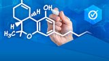 Biomedyczne zastosowanie wybranych materiałów polimerowych