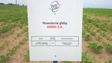 Anwil na Dniu Pola