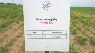 Anwil na Dniu Pola