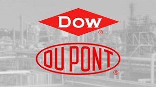 Udana fuzja DowDuPont