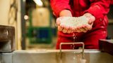 Ascend to increase production capacity of polymers by 10 to 15 percent 