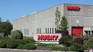 Husky na sprzedaż?
