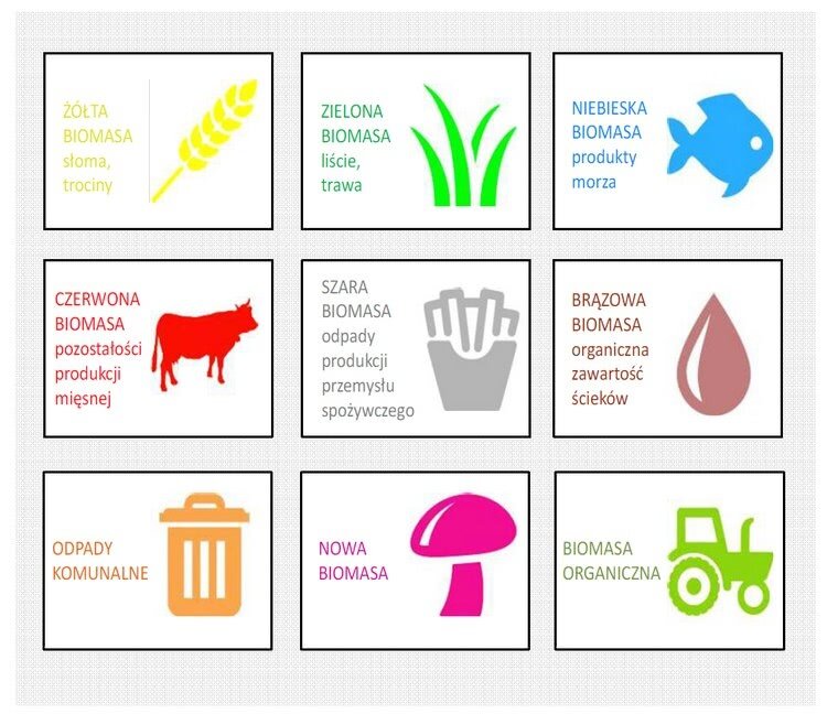 Biomasa