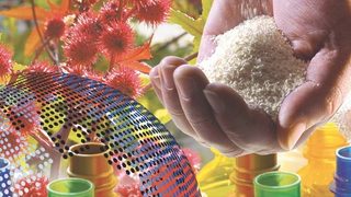 Diversity of the Bioecono