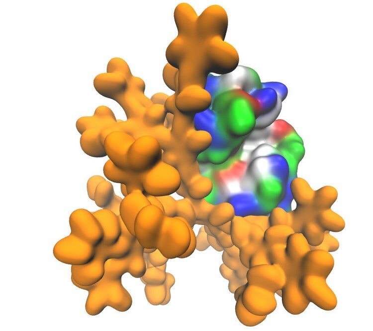 mixing dendrimers