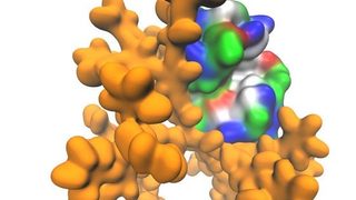 Scientists create multifu