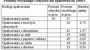 Płacimy za brak...