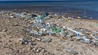 New EU rules to reduce ma