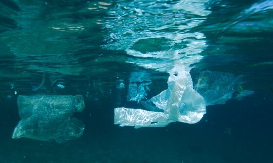 Na szczycie G7 podpisano "Ocean Plastics Charter" 