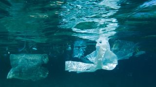Na szczycie G7 podpisano 