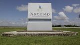 Ascend declares force majeure on nylon 66