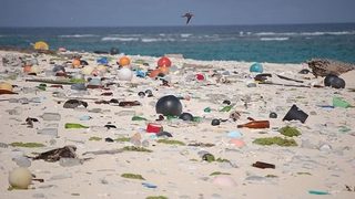 Unia mówi "nie" plastikow