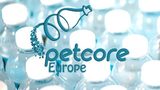 2017 Survey on European PET Recycle Industry - 58.2 % of PET bottles collected