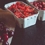 Biotworzywa –...