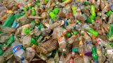 Problemy w recyklingu biotworzyw