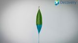 DSM launched a new, bio-based self-matting resin