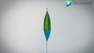 DSM launched a new, bio-b