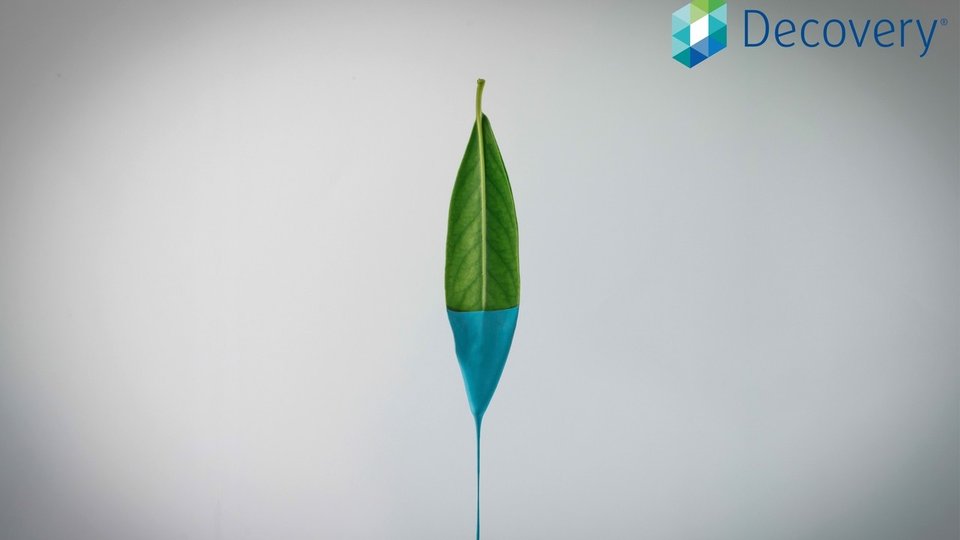 DSM launched a new, bio-based self-matting resin