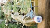 The beverage industry and the protection of the environment