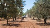 Grupa Ciech realizuje strategię globalnego rozwoju biznesu AGRO 