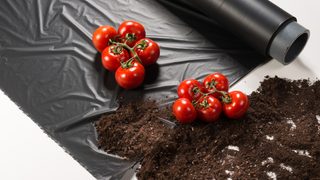 Better soil, higher yield