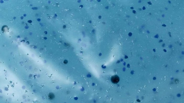 Major environmental challenge - microplastics in our drinking water