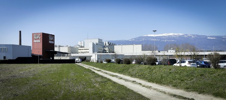 nestle