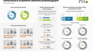 Producenci w Polsce...