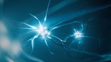 Tomra introduces deep learning add-on for Autosort machines