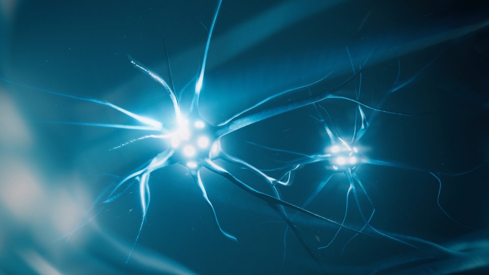 Tomra introduces deep learning add-on for Autosort machines