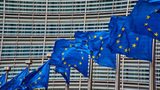 EuPC advocates for a postponement of the SUP Directive implementation