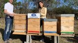 Gabriel-Chemie gives bees a home