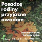 BASF Polska partnerem...