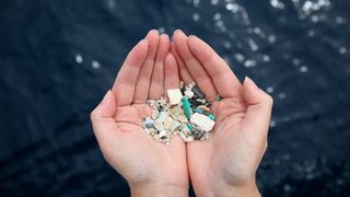 Waste is an old-fashioned
