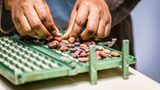 Sidel i Niche Cocoa łączą siły na rzecz milionów uczniów w Ghanie
