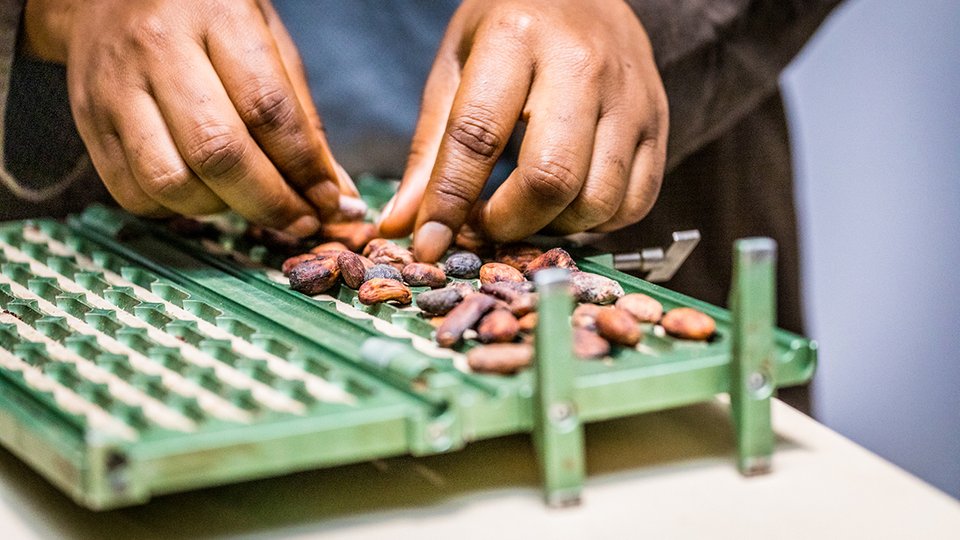 Sidel and Niche Cocoa team up to serve school children in Ghana